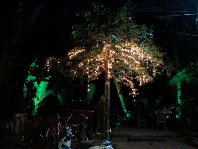 Riverside Guesthouse Λουάνγκ Πραμπάνγκ Εξωτερικό φωτογραφία